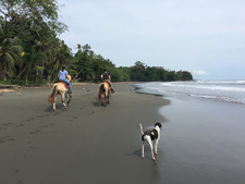 Costa Rica-Caribbean Coast-Rustico del Caribe Ride